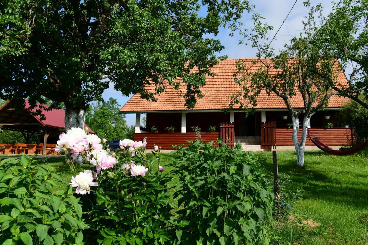 House Luna Rakovica Eksteriør bilde